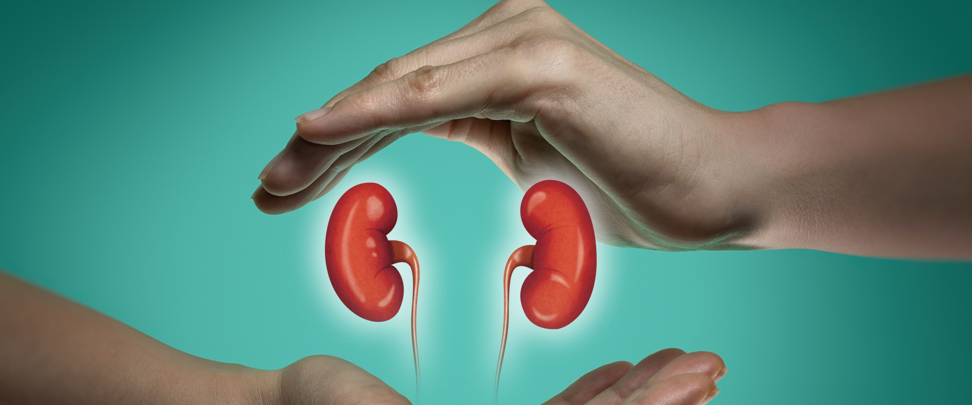 Exploring the Impact of the Ketogenic Diet on Kidney Health