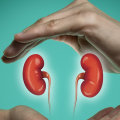 Is Keto Bad for the Kidneys? An Expert's Perspective
